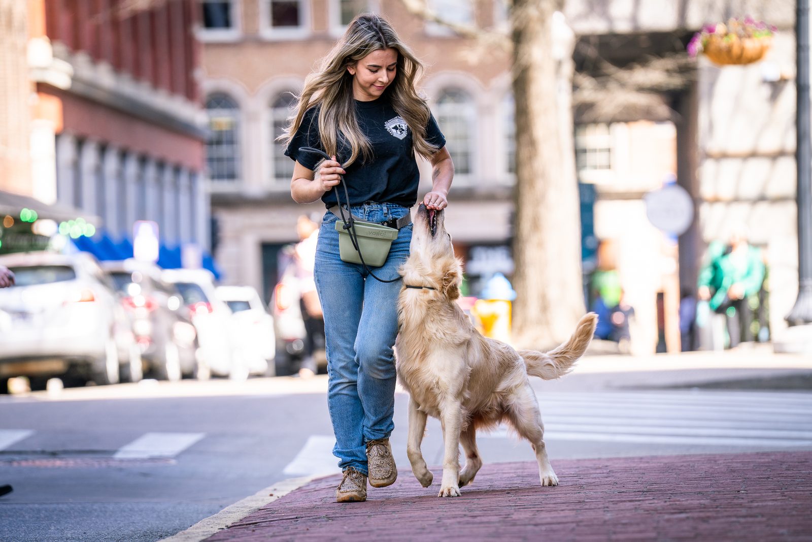 Dog Obedience Training Prices in Knoxville, TN