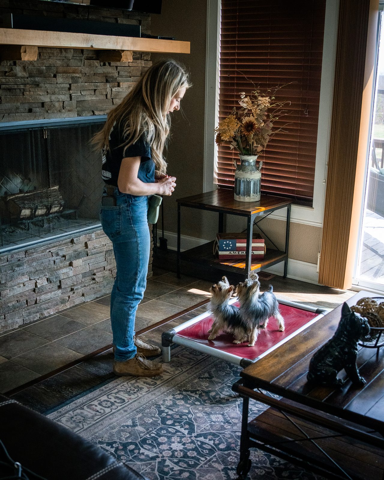In-Home Dog Training Prices in Knoxville, TN